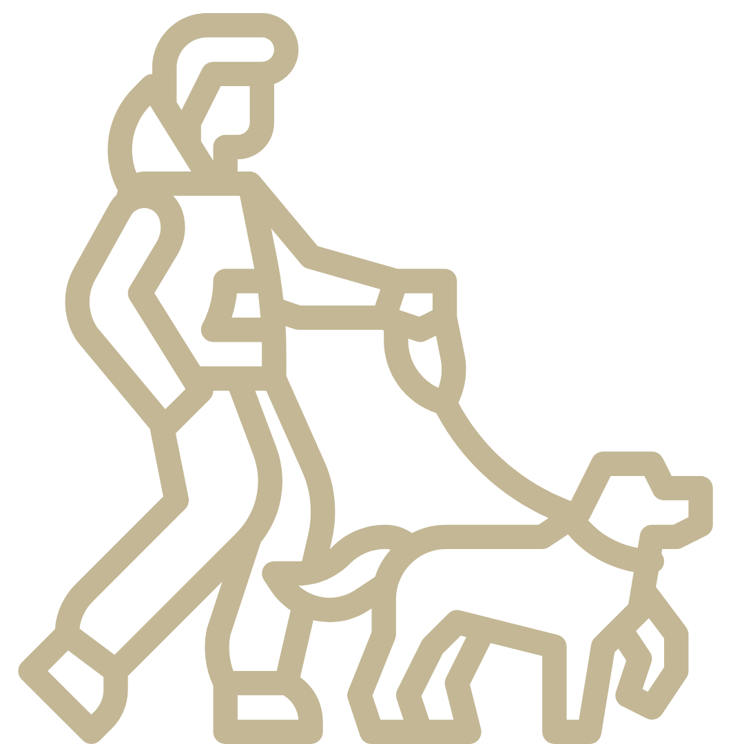 Icon of woman walking dog