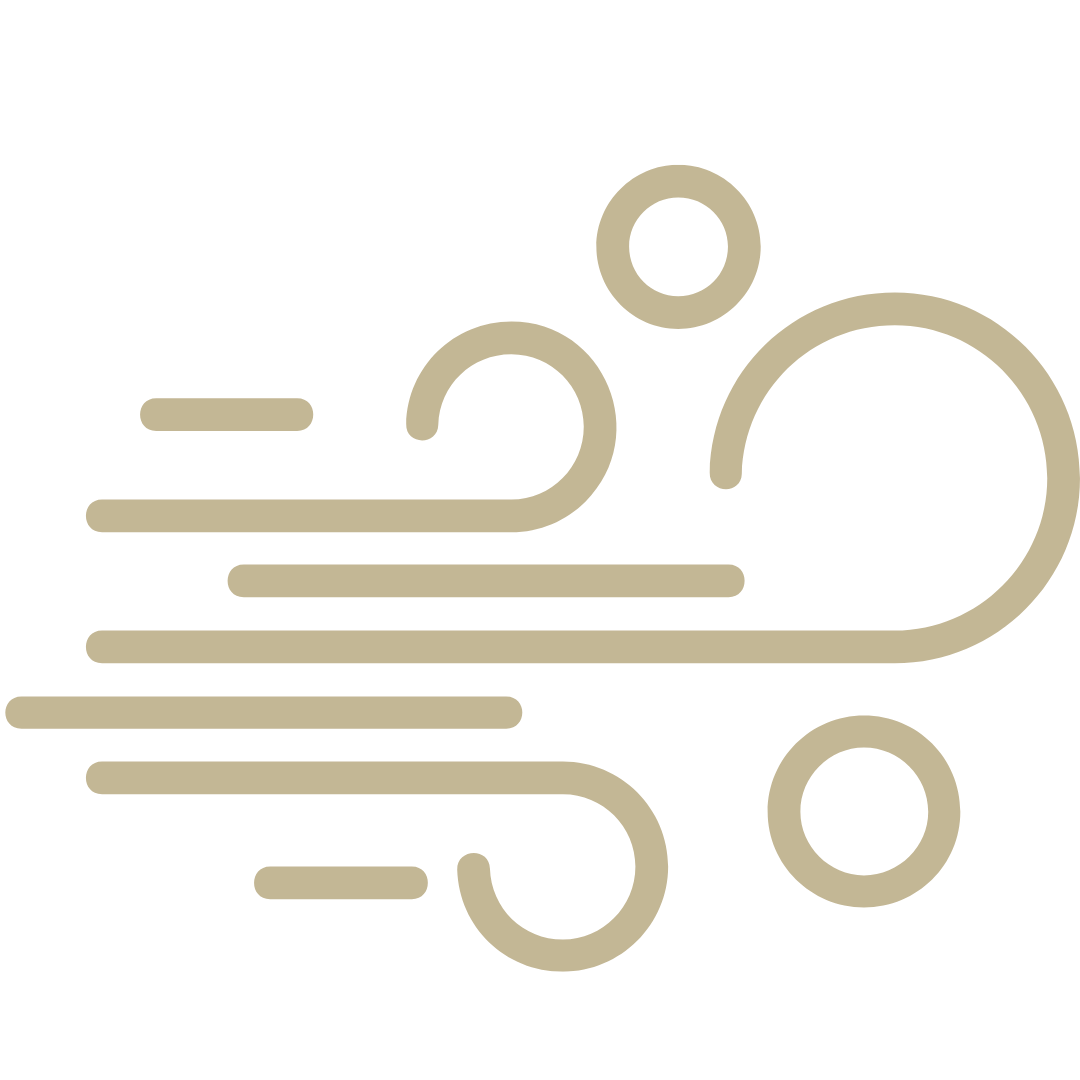 Icon of blowing wind